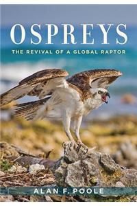 Ospreys
