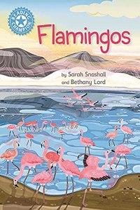 Reading Champion: Flamingos: Independent Reading Non-Fiction Blue 4
