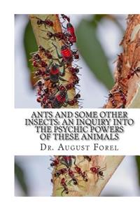 Ants And Some Other Insects