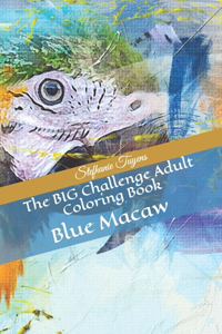 BIG Challenge Adult Coloring Book