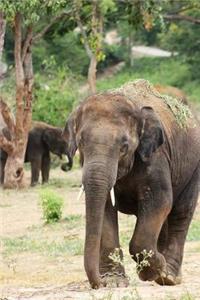 MindBlowing Elephant Journal 2
