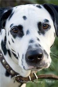 Dalmatian January Notebook Dalmatian Record, Log, Diary, Special Memories, to Do List, Academic Notepad, Scrapbook & More