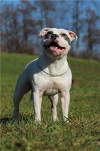 The Staffordshire Bull Terrier Dog Journal