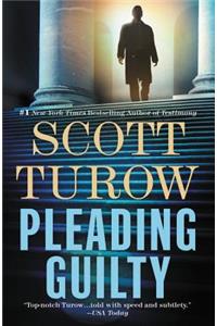 Pleading Guilty