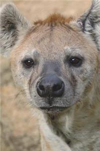 Brown Hyena Journal: 150 Page Lined Notebook/Diary