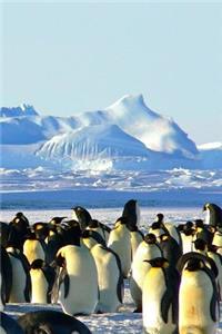 Emperor Penguins (Journal / Notebook)