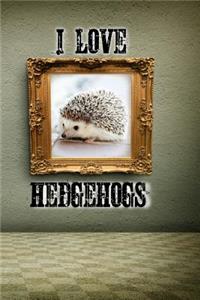 I Love Hedgehogs