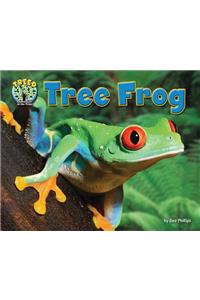 Tree Frog