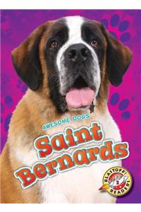 Saint Bernards