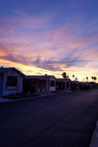 Neighborhood Sunset Journal