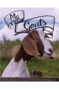 My Goats