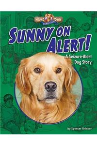 Sunny on Alert!
