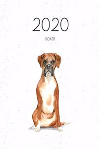 2020 Boxer