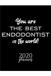You Are The Best Endodontist In The World! 2020 Planner