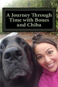 A Journey Through Time with Bones and Chiba