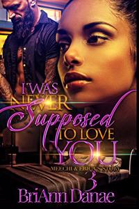 I Was Never Supposed To Love You 3