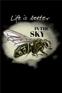 Life Is Better in the Sky