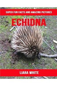 Echidna