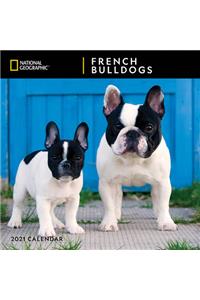 Cal 2021- Ng French Bulldogs Wall