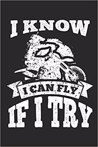 I Know I Can Fly If I Try