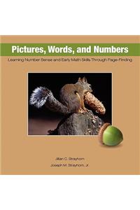 Pictures, Words, and Numbers