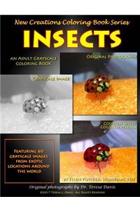 New Creations Coloring Book Series