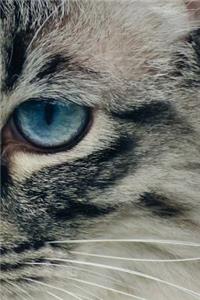 Adorable Cat Notebook