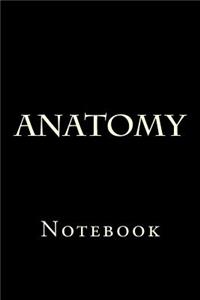 Anatomy