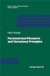 Parametrized Measures and Variational Principles