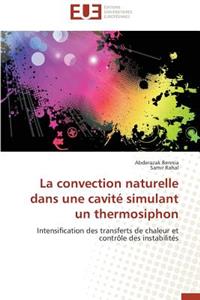 La Convection Naturelle Dans Une Cavité Simulant Un Thermosiphon