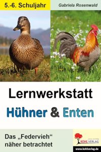 Lernwerkstatt Huhner & Enten / Sekundarstufe