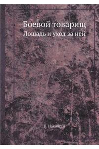 Боевой товарищ