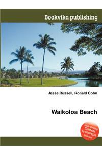 Waikoloa Beach