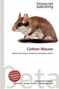 Cotton Mouse