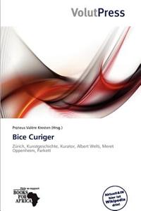 Bice Curiger