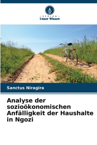 Analyse der sozioökonomischen Anfälligkeit der Haushalte in Ngozi
