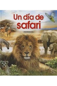 Un Da de Safari- One Day on Safari