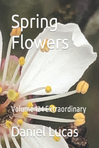 Spring Flowers