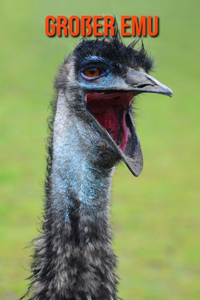 Großer Emu