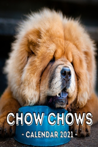 Chow Chows