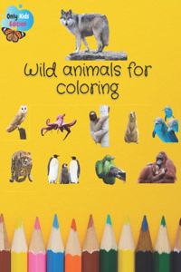 Wild Animals for Coloring