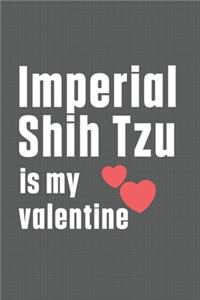 Imperial Shih Tzu is my valentine