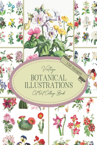 Vintage Botanical Illustrations Cut Out Collage Book