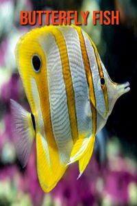 Butterfly Fish