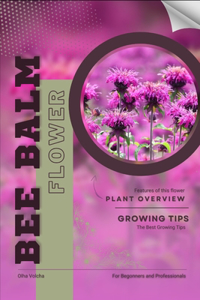 Bee Balm