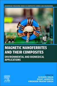 Magnetic Nanoferrites and their Composites