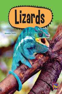 Lizards