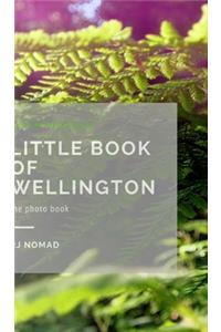 Little Book of Wellington