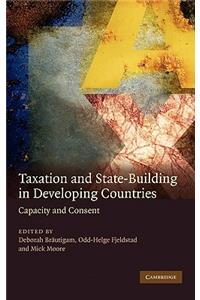 Taxation and State-Building in Developing Countries