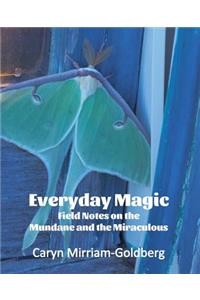 Everyday Magic